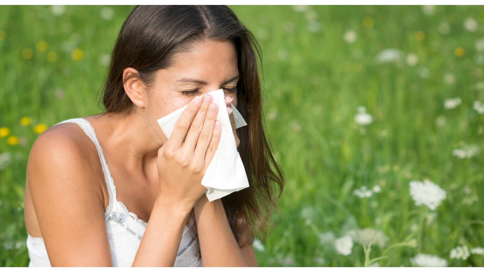 Spring is Allergy Season