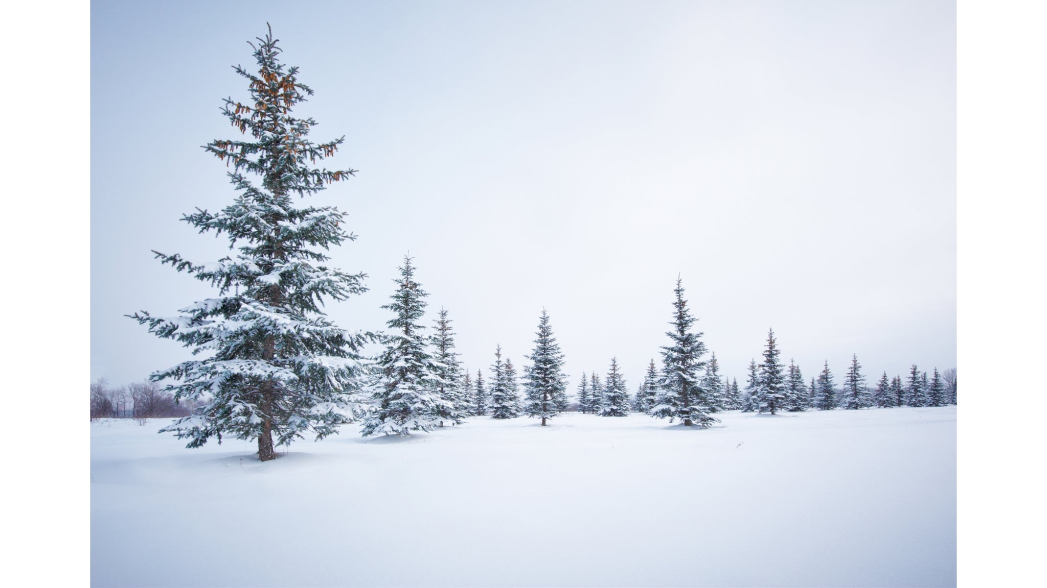 Hemant Ritucharya – Selfcare for Winter Season