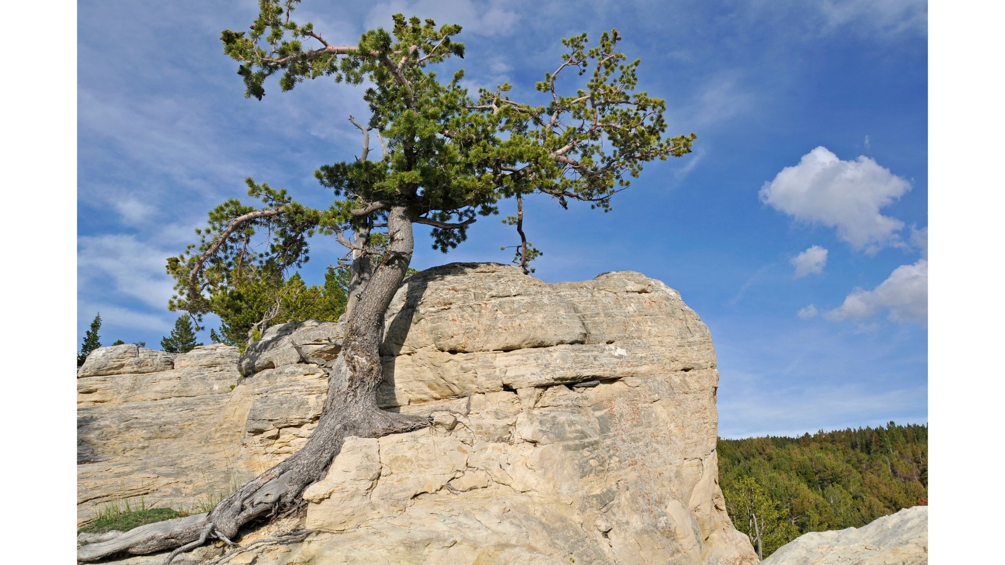 Increasing Resiliency and Strength with Ayurveda