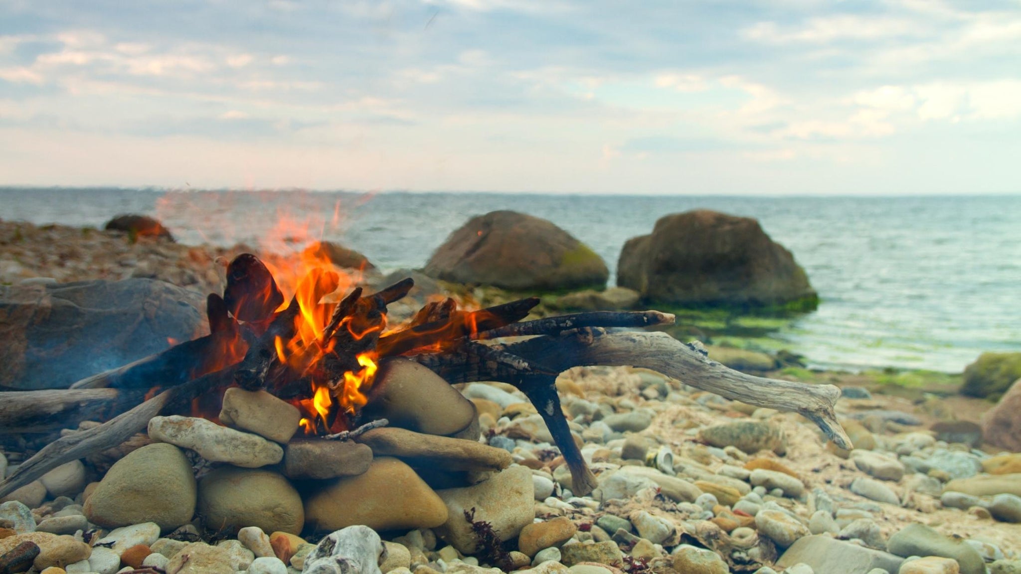 What is Pitta Dosha?