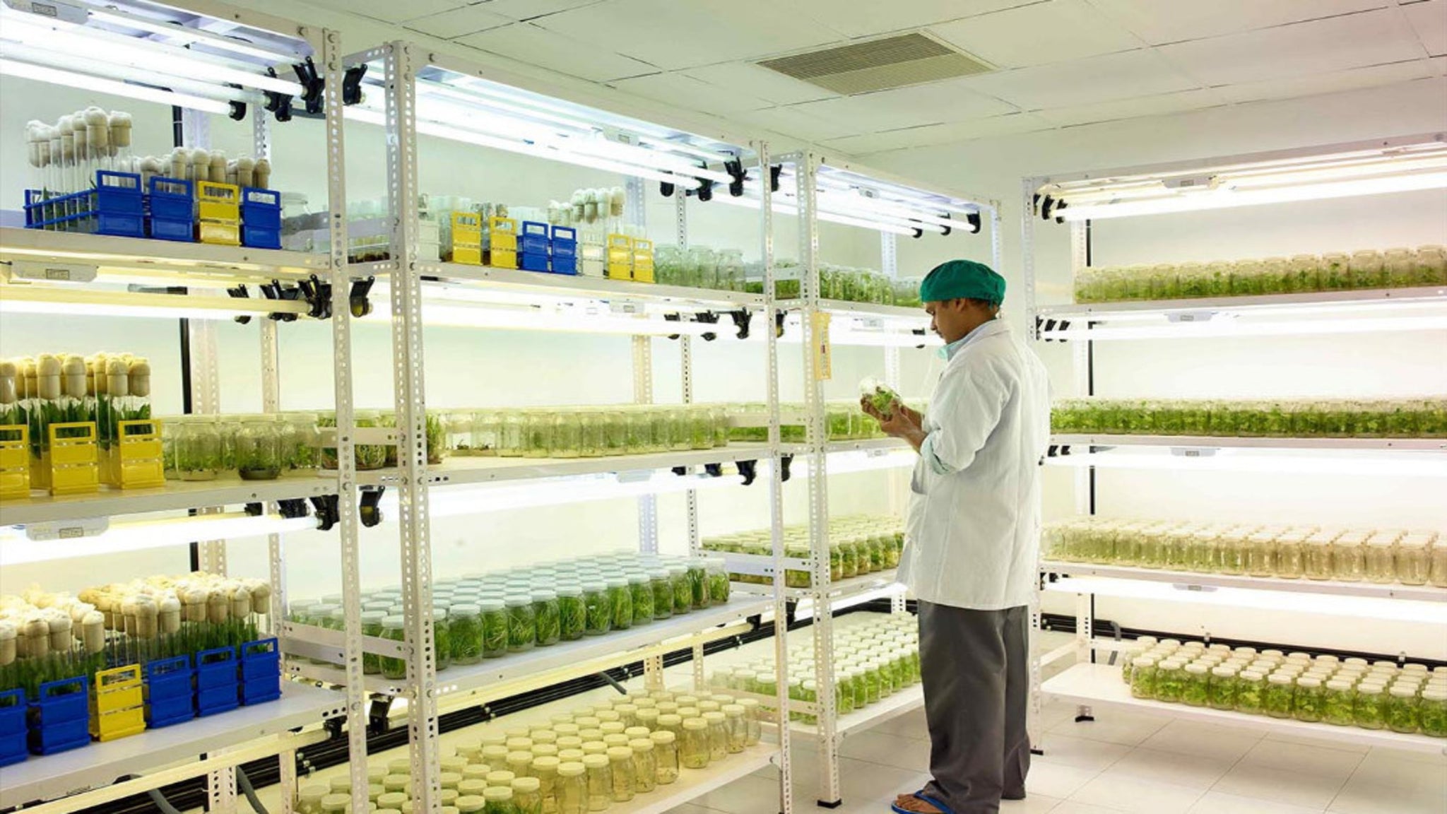 Heavy Metal Content of Kottakkal Products is Well Within Permissible Limits