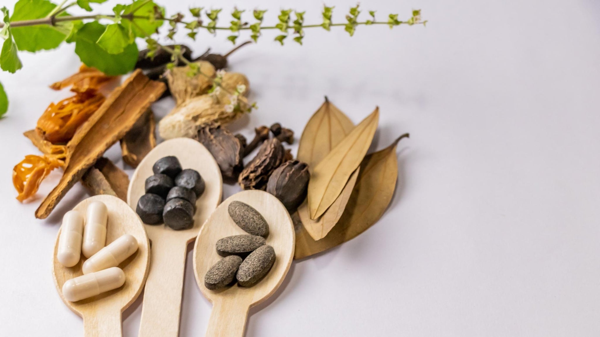 Health Support: Tablets, Capsules and Granules