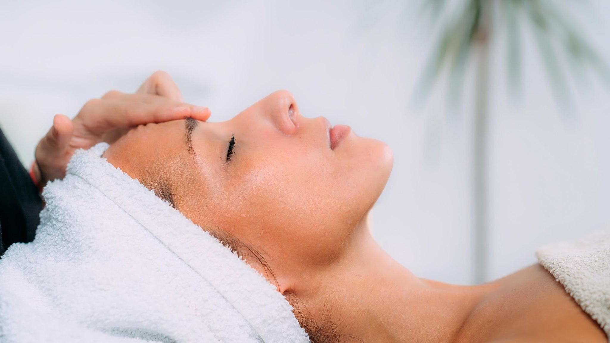 Specialized Oils For Everyday Wellness