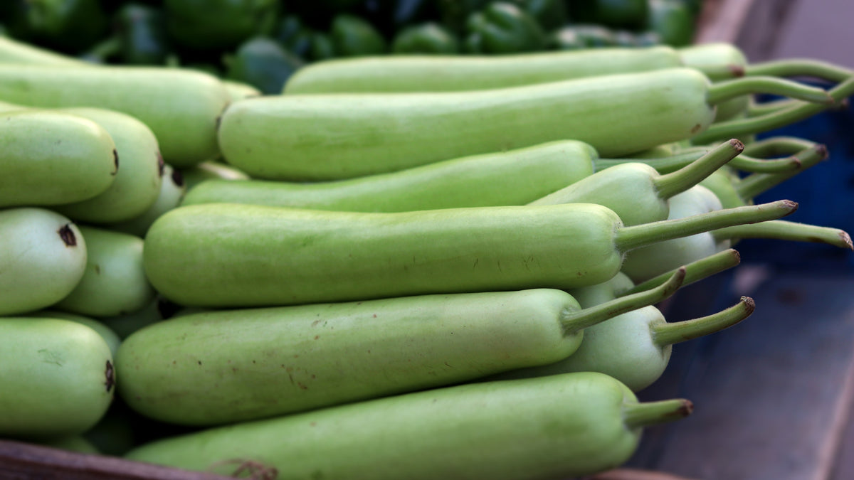 Food Is Medicine - Organic Bottle Gourd