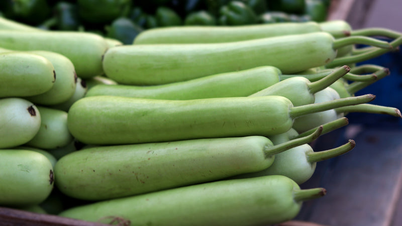 Food Is Medicine - Organic Bottle Gourd